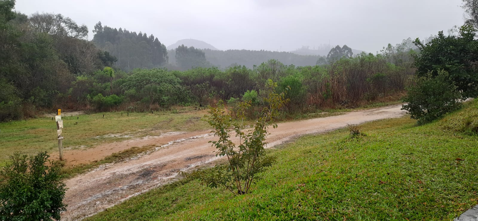 Paisagem com chuva II